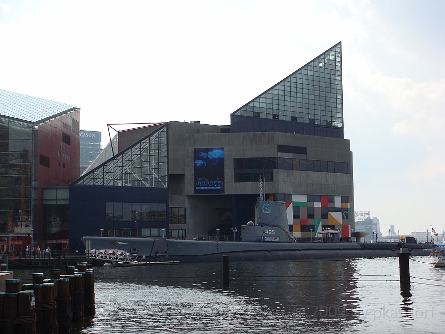 Baltimore [2009 July 02] 106.JPG - Scenes from Baltimore's Inner Harbor.